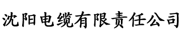 鲁先生电缆厂logo